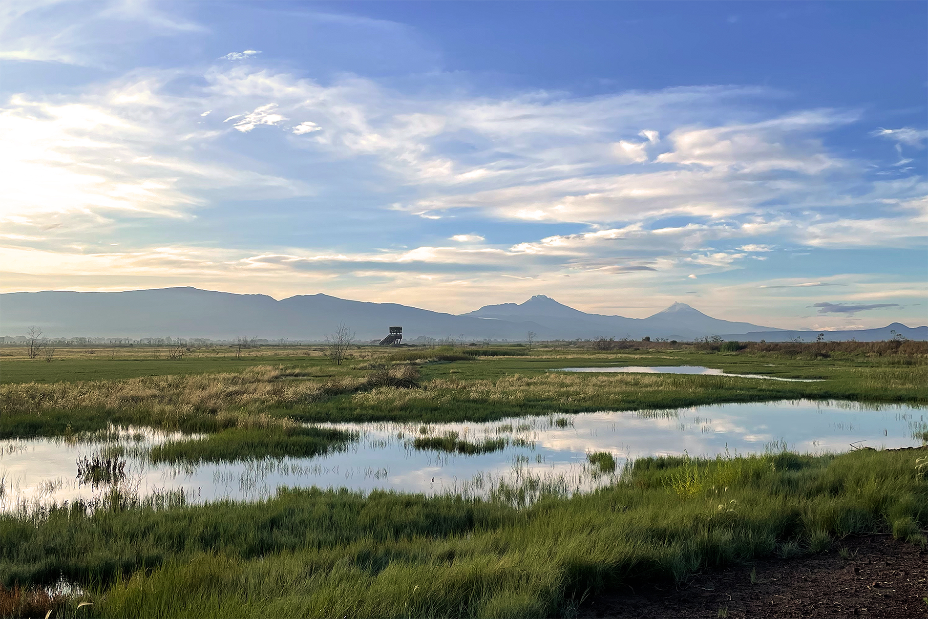 El Resurgimiento Del Lago De Texcoco Arquine